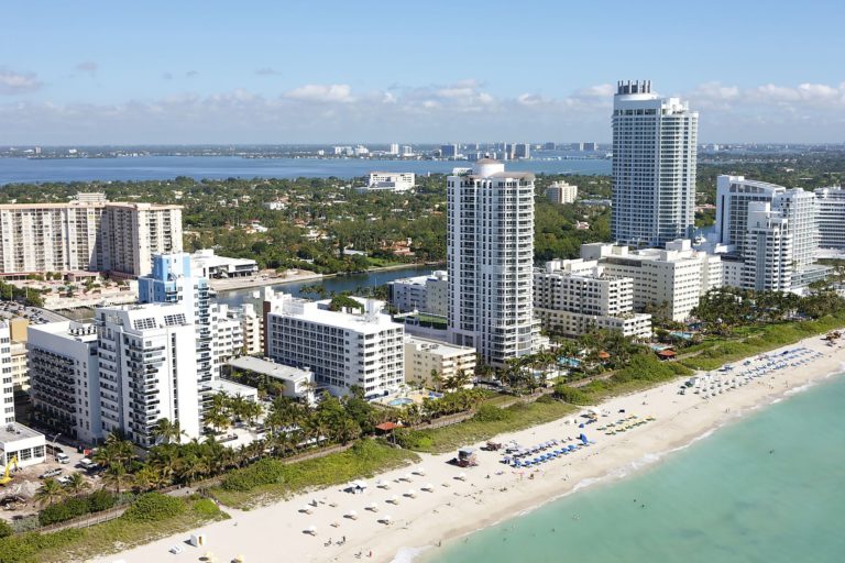 Пальмы, песок и много-много мангустов: почему Майами — это город, который стоит посетить